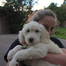 Australian Labradoodle Puppies from Red Rock Doodles