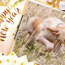 Bracco Italianos and Spinoni Italiani from Caccia Cane Spinone & Bracco Italiano