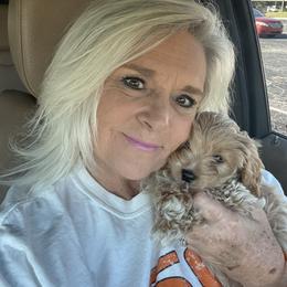 Cavapoo, Cockapoo, Goldendoodle, and Maltipoo Puppies from Perdue Puppies