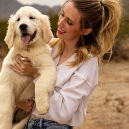 Golden Retriever Puppies from Top Gun Golden Retrievers