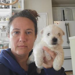 Baby boy - White male West Highland White Terrier puppy in Hoschton, Georgia from AKC  Westie World