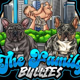 French Bulldogs from The Family Bullies