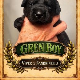 Black Boy 2 - Black male Labrador Retriever puppy in Bend, Oregon from Stirpe Corleone Labradors
