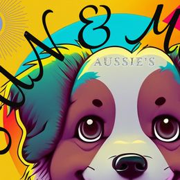 Miniature Australian Shepherds from Sun & Moon Aussies