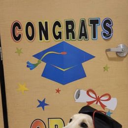 Golden Retriever Puppies from Graceful Goldens