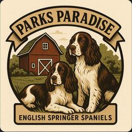 English Springer Spaniels from Parks Paradise
