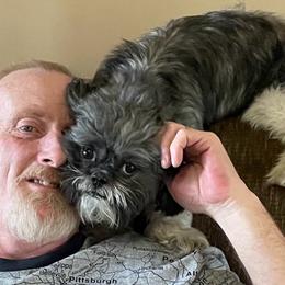 Maggie - Shih Tzu