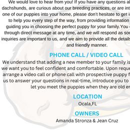 Dachshunds from The Wiener Family