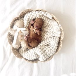 Rudolph - Red  male Goldendoodle puppy in Chesapeake, Virginia from Heart to Heart Doodles