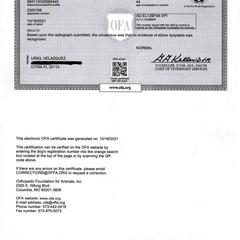 Dogo Argentino Puppies from De La Citra Dogo Argentino