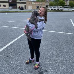 Weimaraner Puppies from Meadow Ridge Weims and Danes
