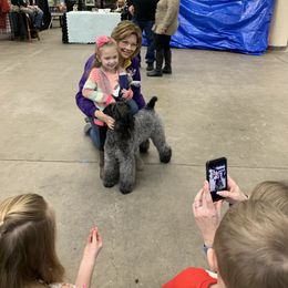 Kerry Blue Terrier Puppies from Watch Em’ Spar Kerry Blue Terriers
