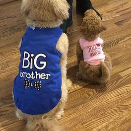 Goldendoodle Puppies from Deerhaven Doodles