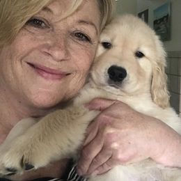 Golden Retriever Puppies from Evergrace Goldens