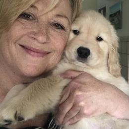 Golden Retriever Puppies from Evergrace Goldens