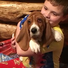 Basset Hound Puppies from Muggsk-9obedience