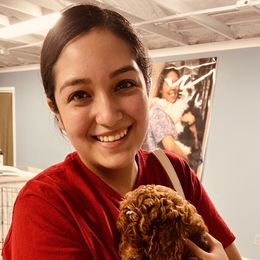 Goldendoodle Puppies from Labradoodleday