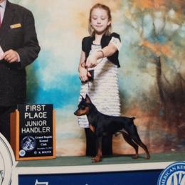 Presley - Miniature Pinscher