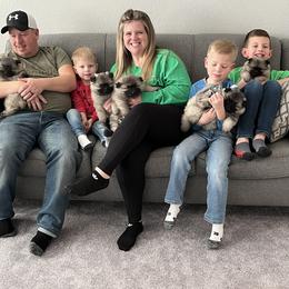 Keeshond Puppies from SummerMist Keeshond
