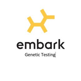 Goldendoodle Puppies from Dean Doodles