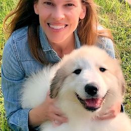 Great Pyrenees Puppies from Wells' Providence Pyrenees
