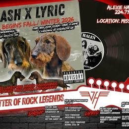 Dachshund puppies from Three Lakes Labs & WHDs