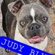 Judy blue