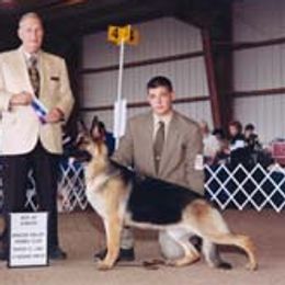 Sugar - German Shepherd