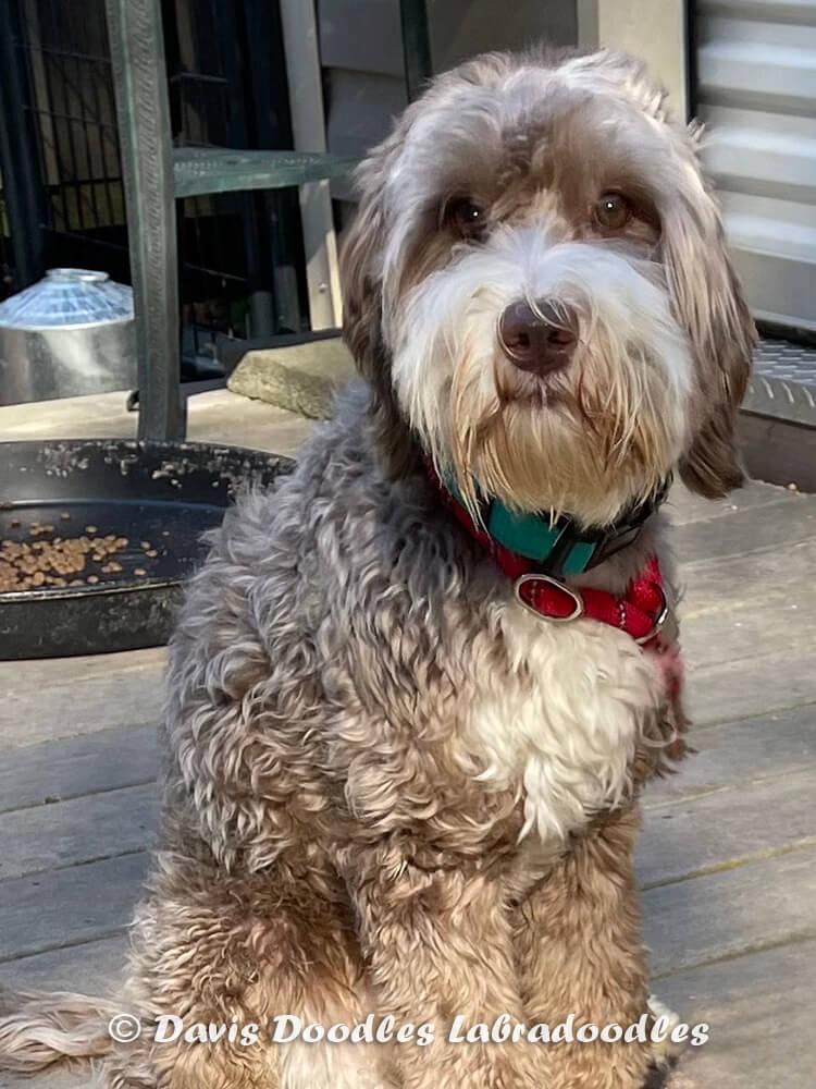 Duncan