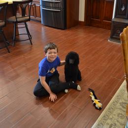 Poodle Puppies from D and D Standard Poodles