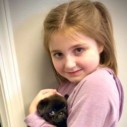 Great Pyrenees, Pekingese, and Pug Puppies from Triptych Kennels