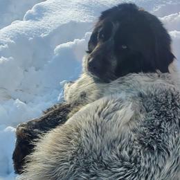 Laverne - Anatolian Pyrenees