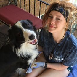 Quinn - Border Collie