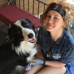 Quinn - Border Collie