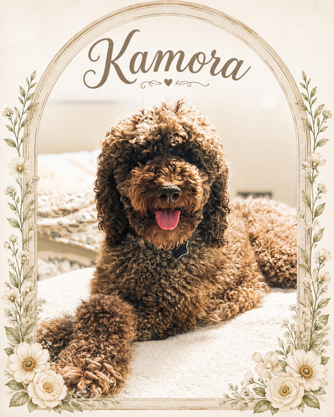 Kamora