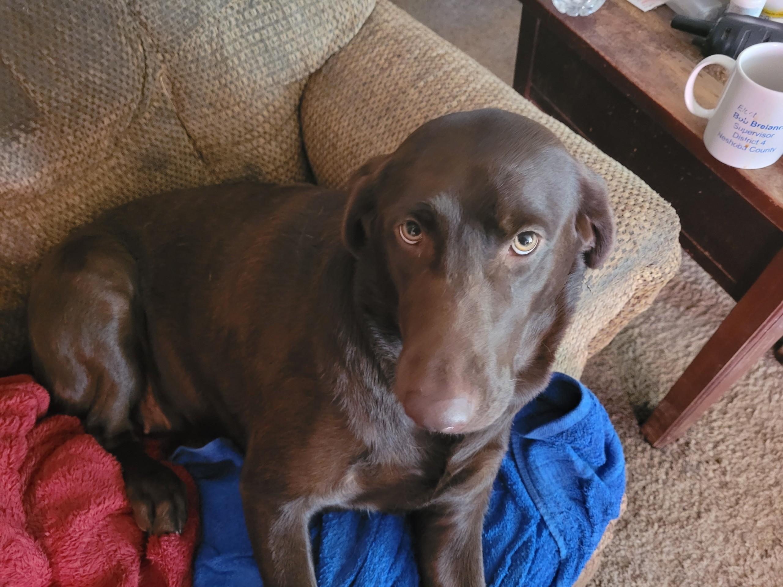 Bella