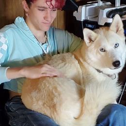 Maya - Siberian Husky