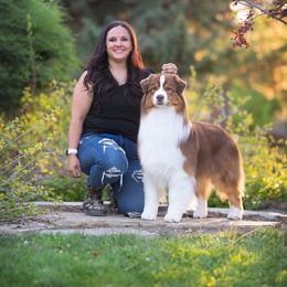 Kennedy - Australian Shepherd