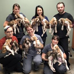 Bracco Italianos from Riverbend Braccos