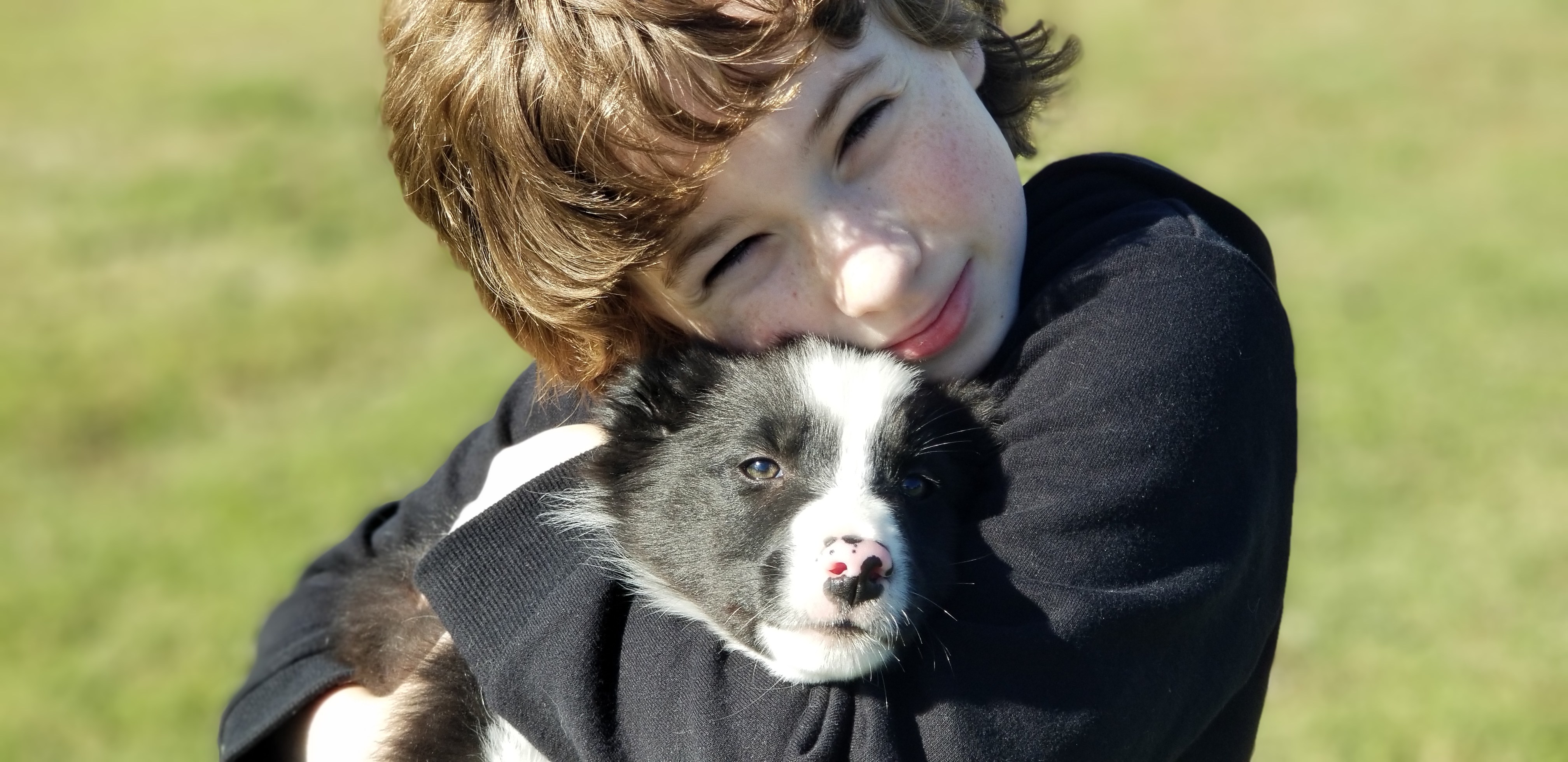 Border Collie Puppies from Bond Border Collies