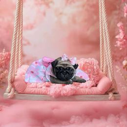 Pug Puppies from Precious Paws