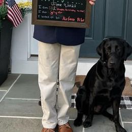 Labrador Retrievers from SK Retrievers