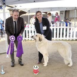 Great Pyrenees All Grown Up from McCarthy Ranchette LLC