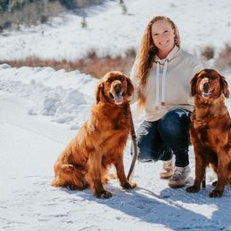 Golden Retrievers from Lish Kennels Golden Retrievers