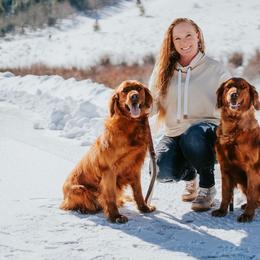Golden Retrievers from Lish Kennels Golden Retrievers
