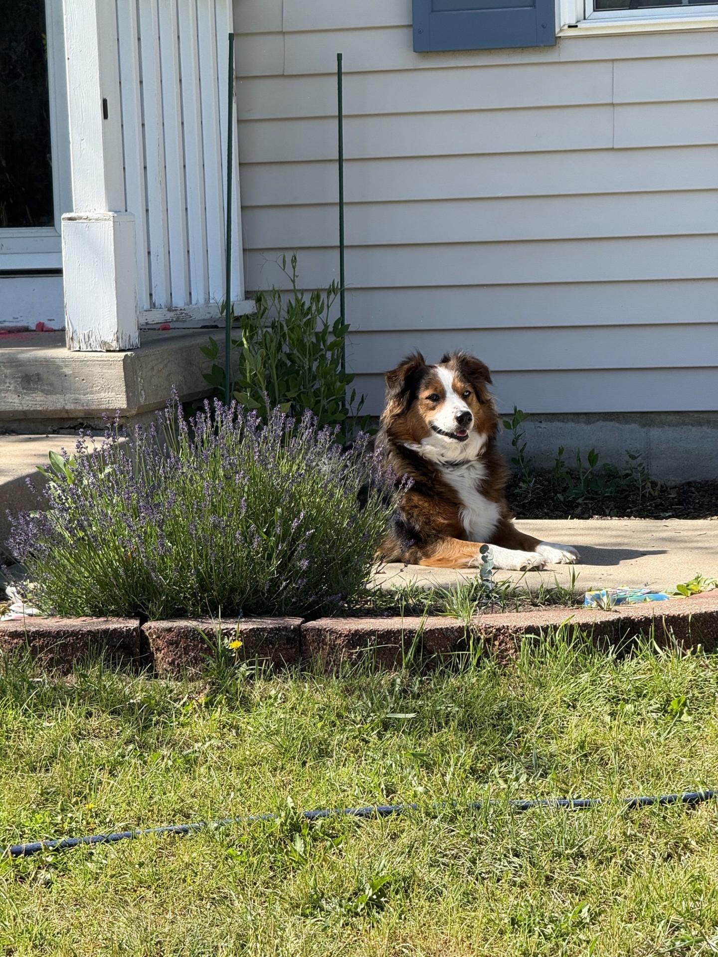 Skye