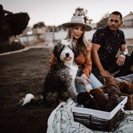 Aussiedoodle and Bernedoodle Puppies from High Desert Doodles