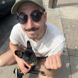 French Bulldog Puppies from Jolie Frenchies