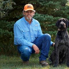 German Wirehaired Pointer All Grown Up from WyoWires German Wirehaired Pointers