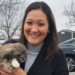Shih Tzus and Yorkshire Terriers from Real life Teddybears